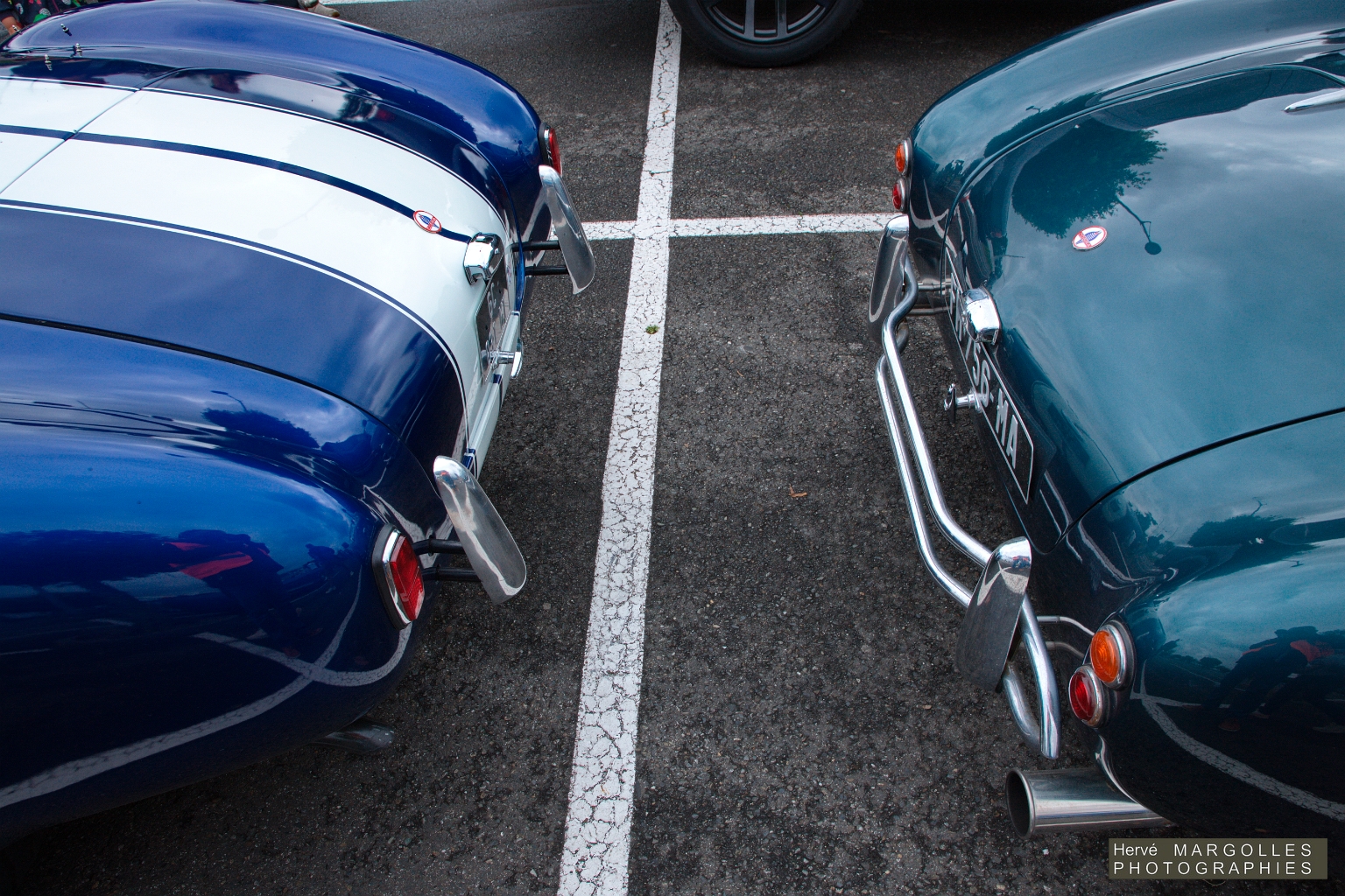 AC Cobra-02.jpg